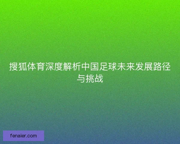 搜狐体育深度解析中国足球未来发展路径与挑战